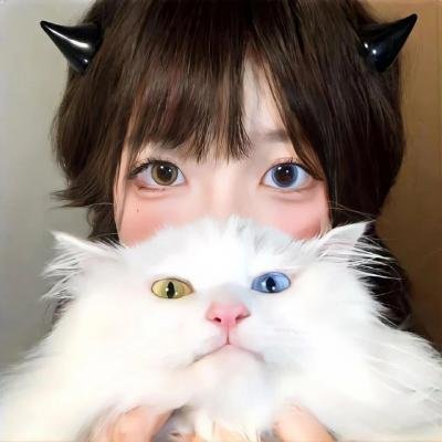 老狐狸